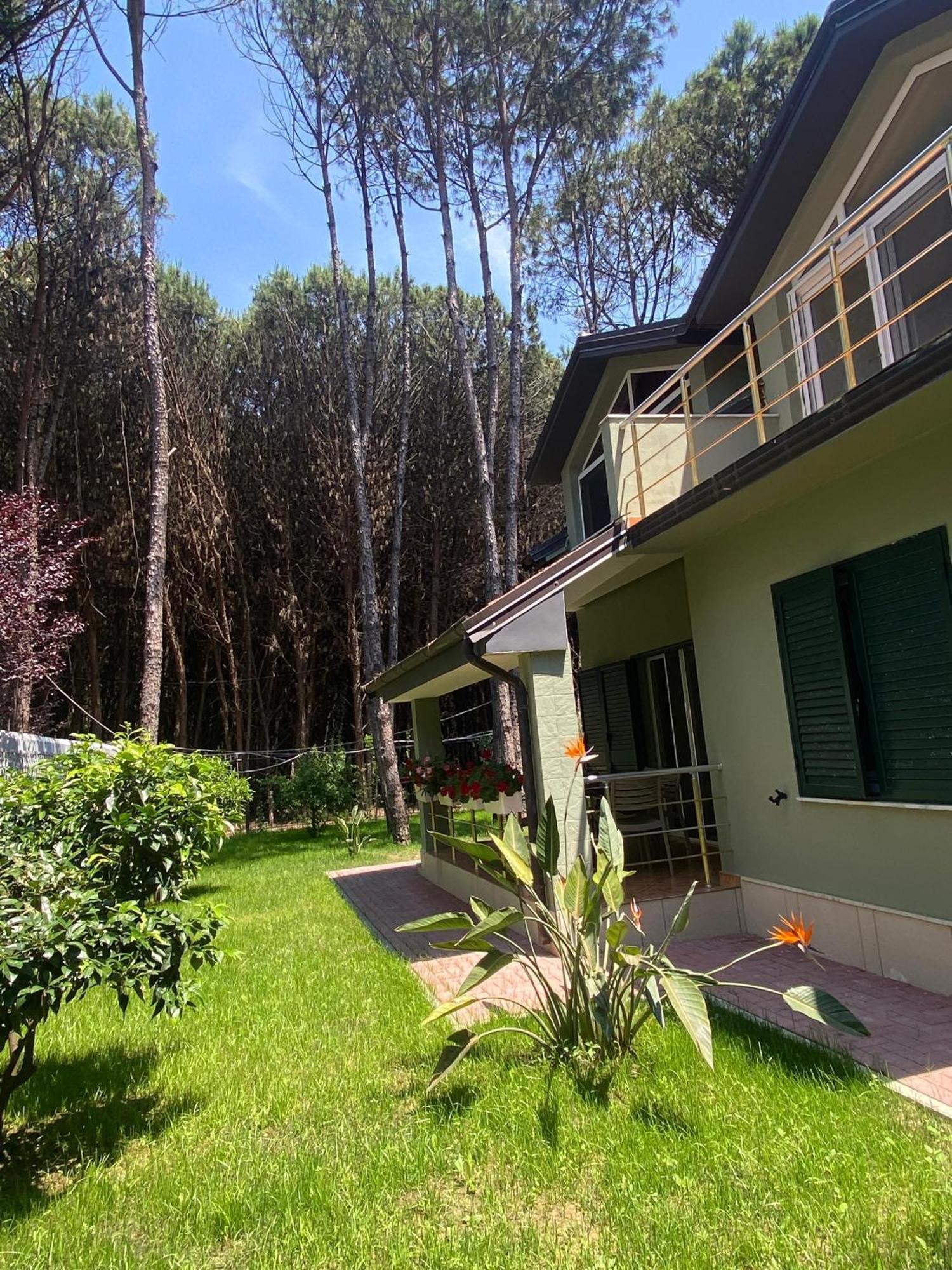 Forest Cottage - Middle Of Forest & Near The Beach Golem  Exterior photo