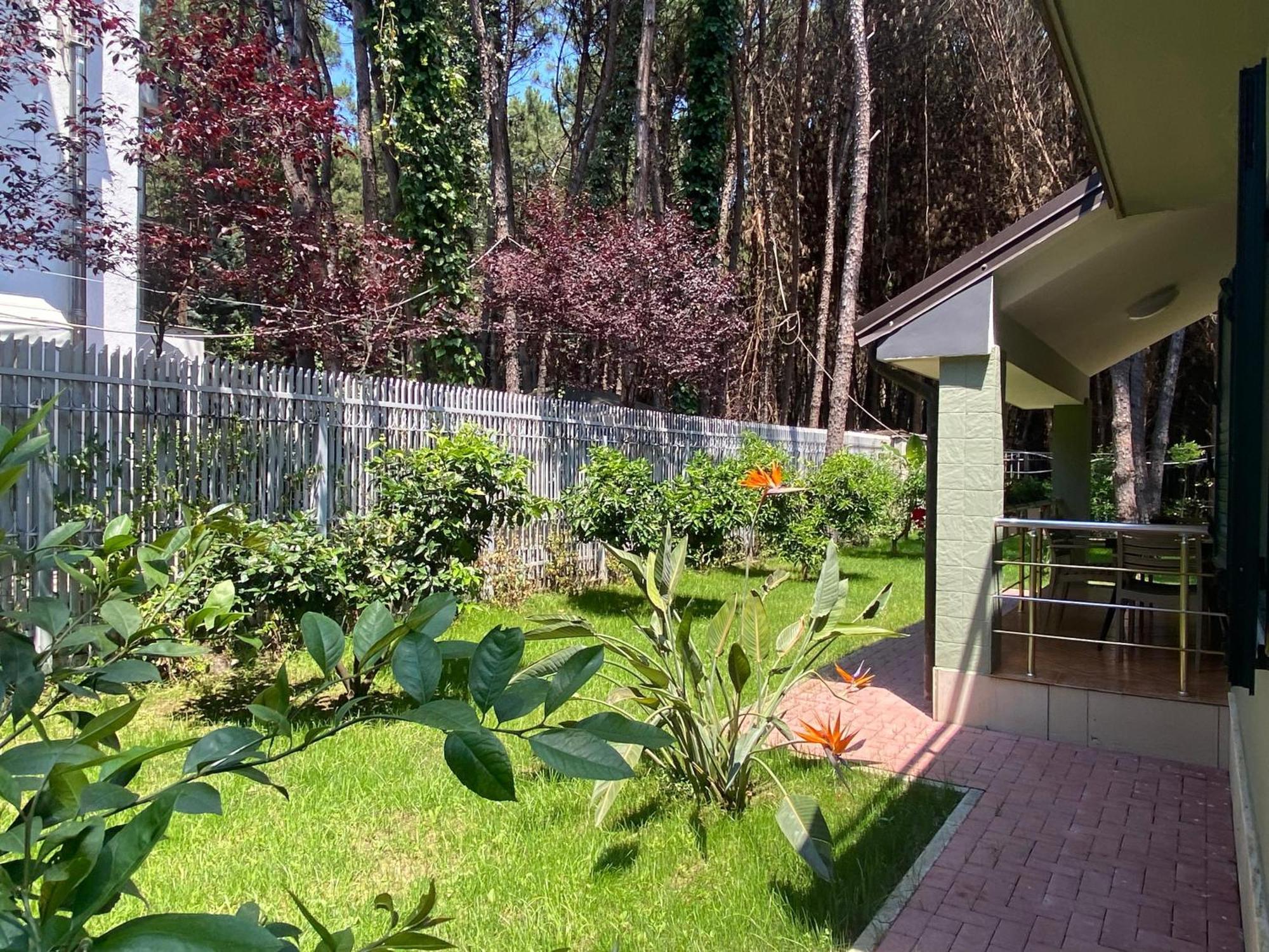 Forest Cottage - Middle Of Forest & Near The Beach Golem  Exterior photo