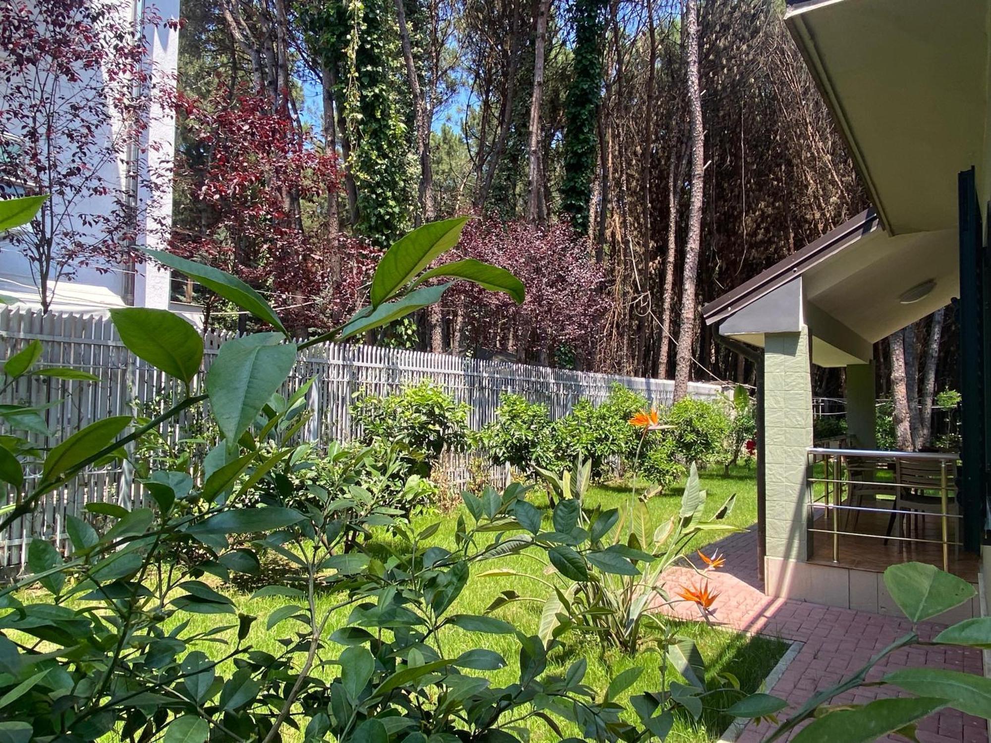 Forest Cottage - Middle Of Forest & Near The Beach Golem  Exterior photo