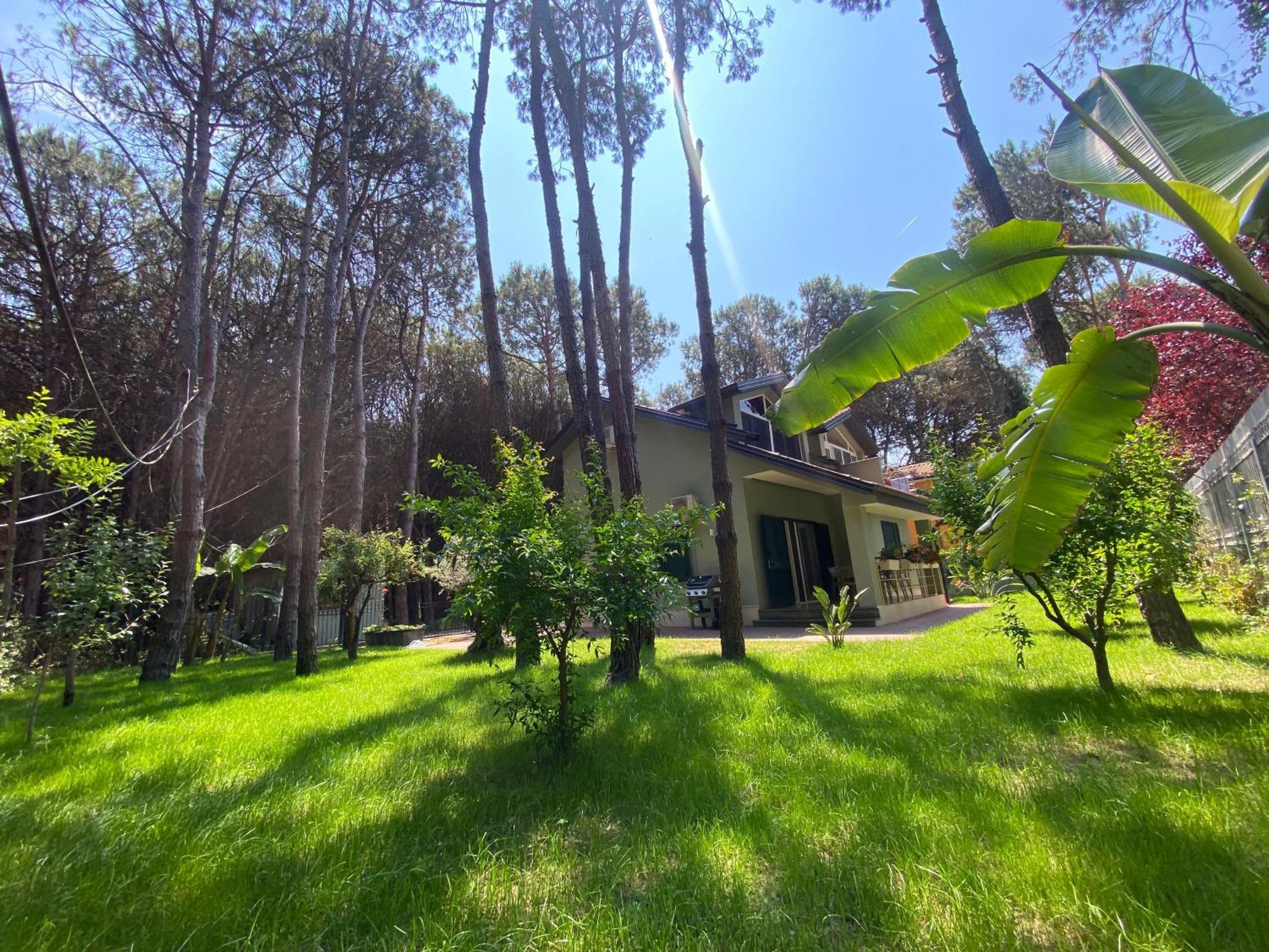Forest Cottage - Middle Of Forest & Near The Beach Golem  Exterior photo